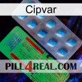 Cipvar new03